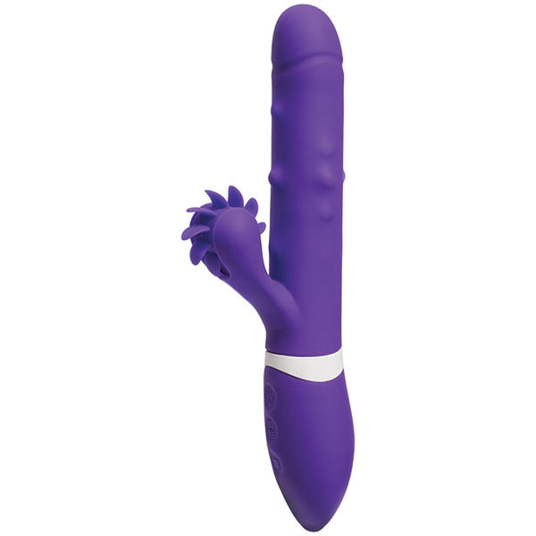 Ivibe Select - Iroll - Purple